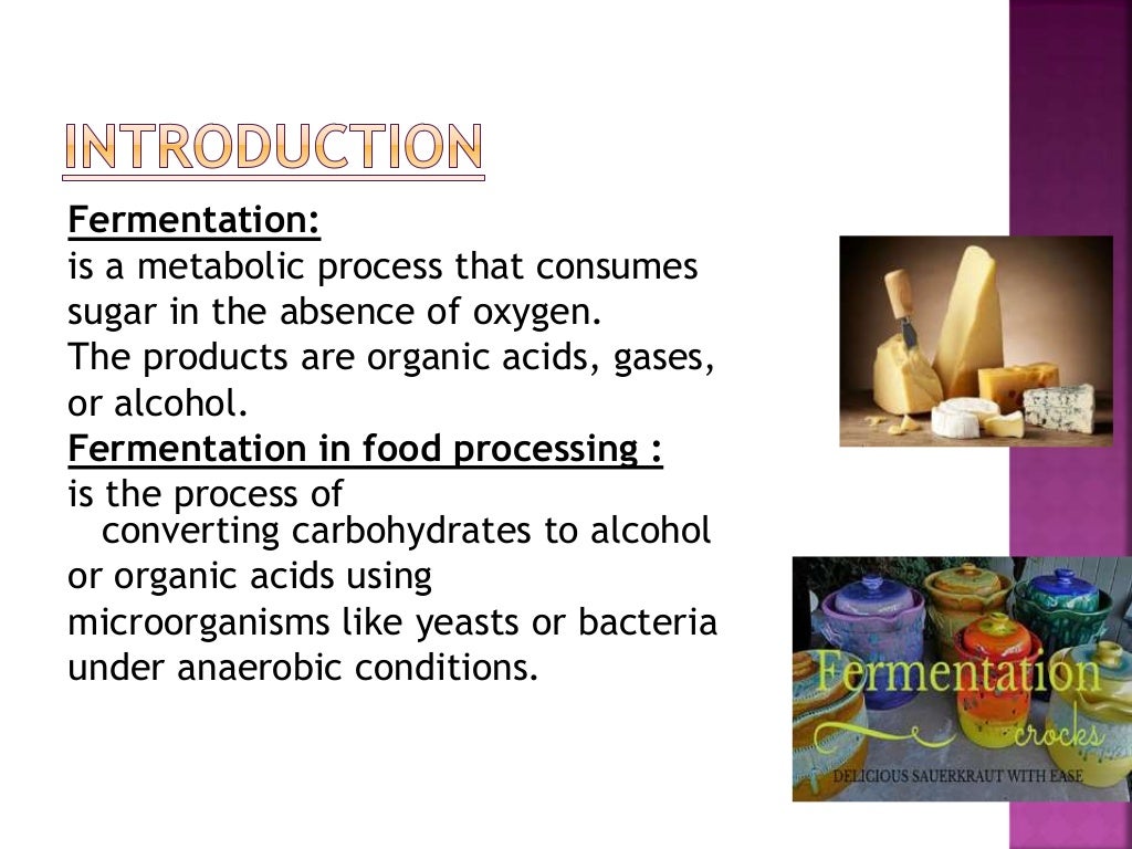 Fermentation of cheese (1)