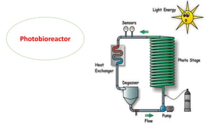 Photobioreactor
 