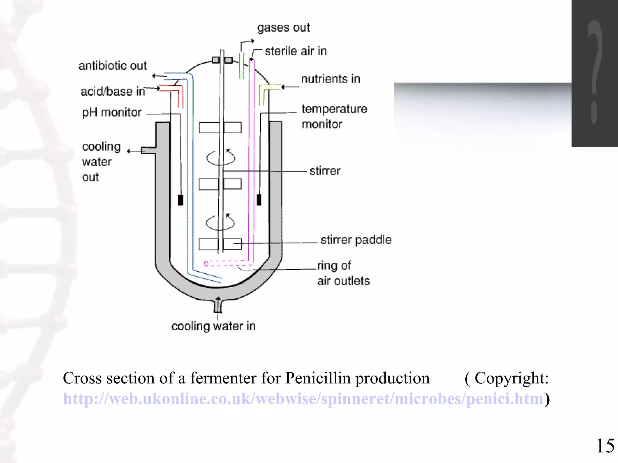 15
Cross section of a fermenter for Penicillin production ( Copyright:
http://web.ukonline.co.uk/webwise/spinneret/microbes/penici.htm)
 