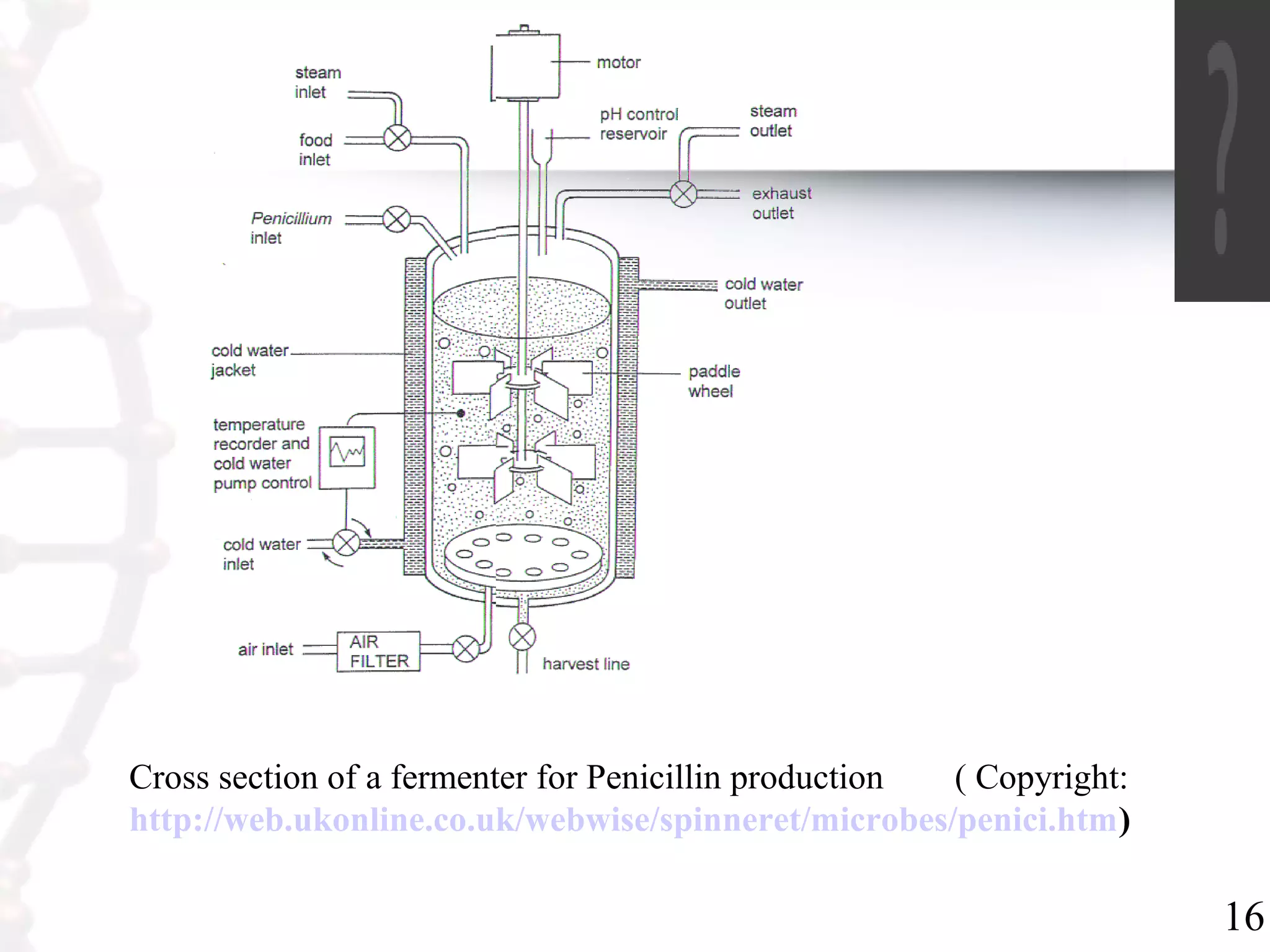 16
Cross section of a fermenter for Penicillin production ( Copyright:
http://web.ukonline.co.uk/webwise/spinneret/microbes/penici.htm)
 