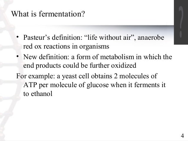 Fermentation ppt - Fermentation Ppt 4 638