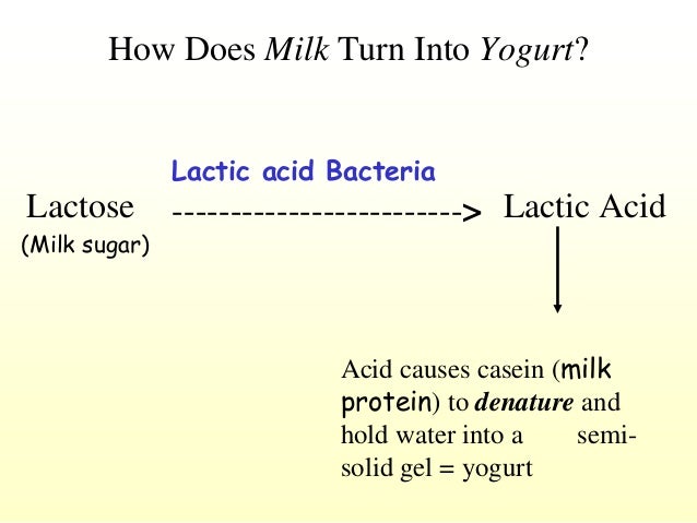 Fermentation ppt - Fermentation Ppt 15 638