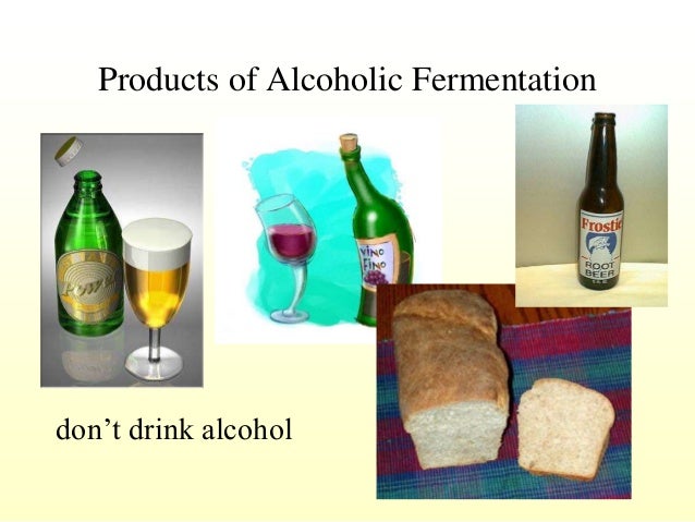 Fermentation ppt - Fermentation Ppt 5 638