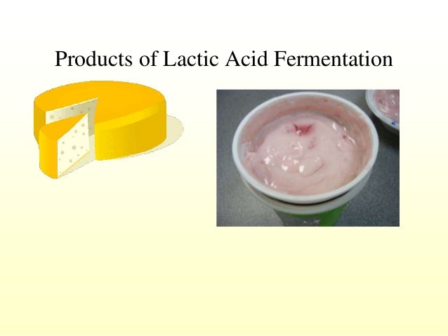 Fermentation ppt - Fermentation Ppt 8 638