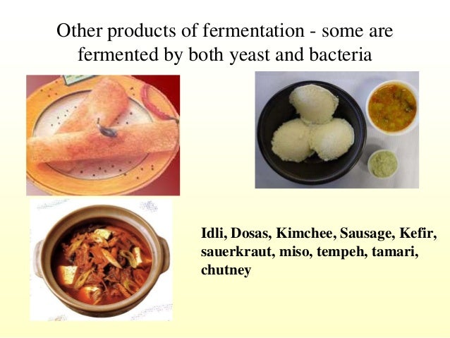 Fermentation ppt - Fermentation Ppt 9 638