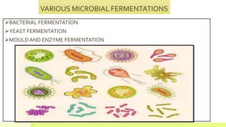BACTERIAL FERMENTATION
YEAST FERMENTATION
MOULD AND ENZYME FERMENTATION
16
VARIOUS MICROBIAL FERMENTATIONS
 