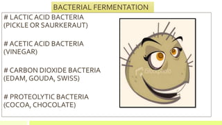 BACTERIAL FERMENTATION
# LACTIC ACID BACTERIA
(PICKLE OR SAURKERAUT)
# ACETIC ACID BACTERIA
(VINEGAR)
# CARBON DIOXIDE BACTERIA
(EDAM, GOUDA, SWISS)
# PROTEOLYTIC BACTERIA
(COCOA, CHOCOLATE)
 