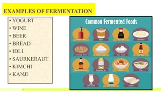 EXAMPLES OF FERMENTATION
• YOGURT
• WINE
• BEER
• BREAD
• IDLI
• SAURKERAUT
• KIMCHI
• KANJI
31
 