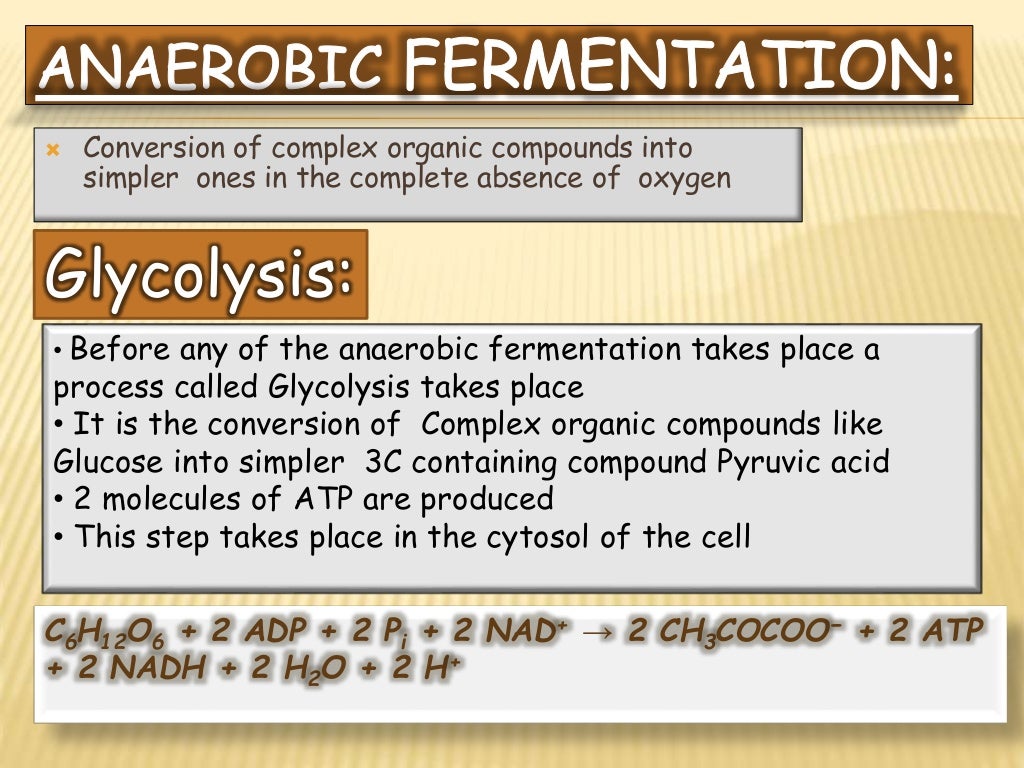 Aerobic and Anaerobic Fermentation