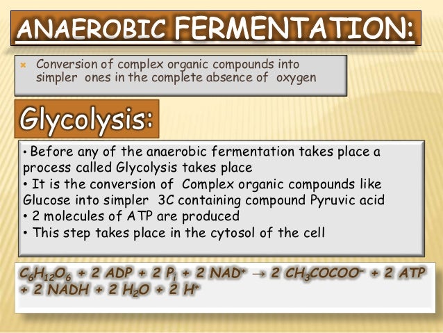 Aerobic And Anaerobic Fermentation