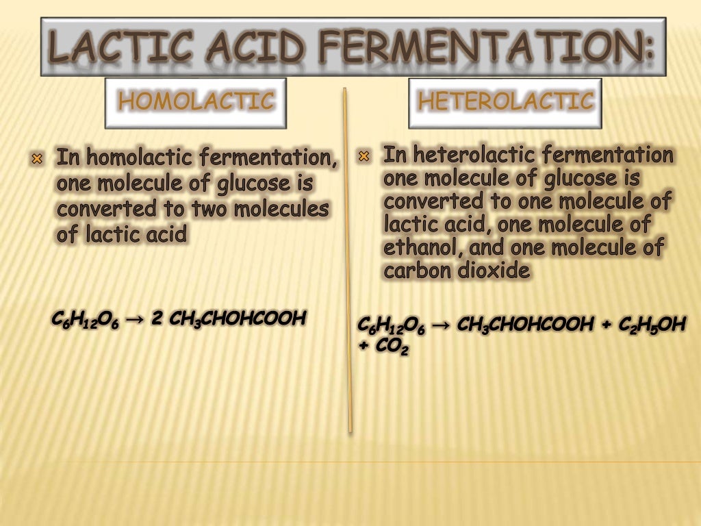 Aerobic and Anaerobic Fermentation