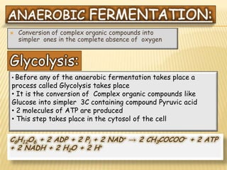    Conversion of complex organic compounds into
    simpler ones in the complete absence of oxygen


Glycolysis:
• Before  any of the anaerobic fermentation takes place a
process called Glycolysis takes place
• It is the conversion of Complex organic compounds like
Glucose into simpler 3C containing compound Pyruvic acid
• 2 molecules of ATP are produced
• This step takes place in the cytosol of the cell


C6H12O6 + 2 ADP + 2 Pi + 2 NAD+ → 2 CH3COCOO− + 2 ATP
+ 2 NADH + 2 H2O + 2 H+
 