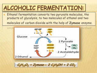 ALCOHOLIC FERMENTATION:
   Ethanol fermentation converts two pyruvate molecules, the
    products of glycolysis, to two molecules of ethanol and two
    molecules of carbon dioxide with the help of Zymase enzyme.




           C6H12O6 + Zymase→ 2 C2H5OH + 2 CO2
 