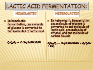 LACTIC ACID FERMENTATION:
  HOMOLACTIC   HETEROLACTIC
 