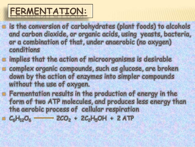 Fermentation presentation - Fermentation Presentation 2 638