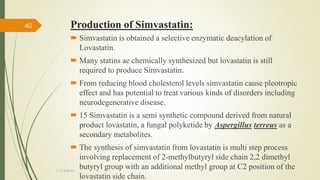 Fermentation Presentation.pdf