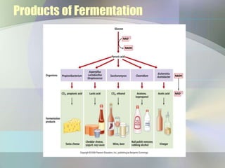 Fermentation Process Types Fermentation processes and their application | PPTX