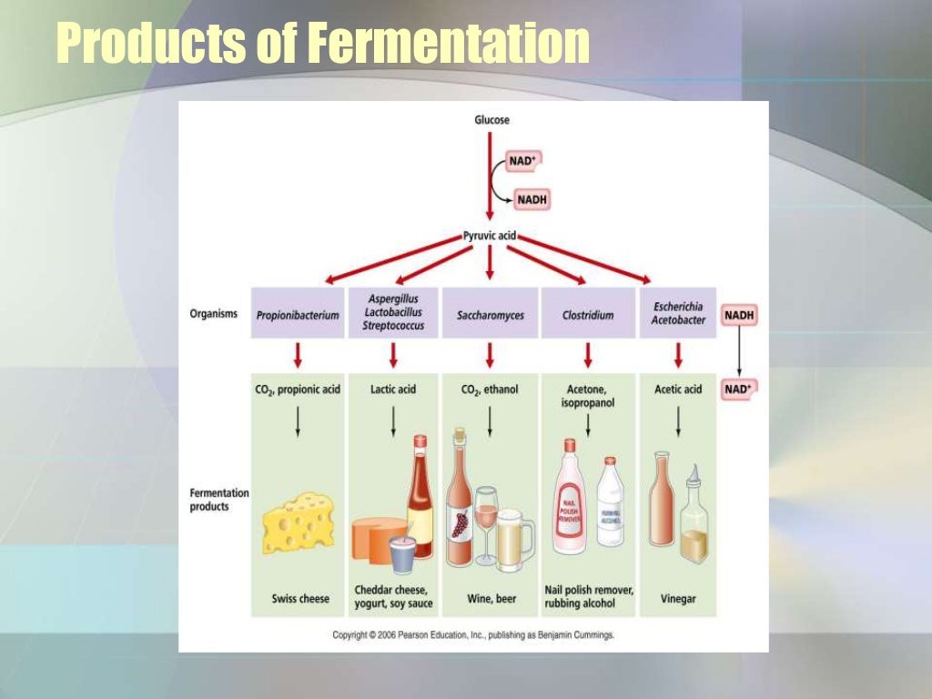 Fermentation processes and their application - Fermentation Processes AnD Their Application 17 1024