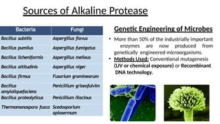 Sources of Alkaline Protease
Bacteria Fungi
Bacillus subtilis Aspergillus flavus
Bacillus pumilus Aspergillus fumigatus
Bacillus licheniformis Aspergillus melleus
Bacillus altitudinis Aspergillus niger
Bacillus firmus Fusarium graminearum
Bacillus
amyloliquefaciens
Penicillium griseofulvim
Bacillus proteolyticus Penicillium lilacinus
Thermomonospora fusca Scedosporium
apiosermum
Genetic Engineering of Microbes
• More than 50% of the industrially important
enzymes are now produced from
genetically engineered microorganisms.
• Methods Used: Conventional mutagenesis
(UV or chemical exposure) or Recombinant
DNA technology.
 