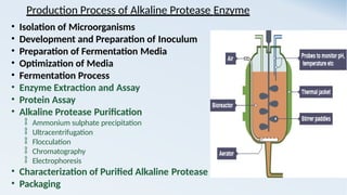 Production Process of Alkaline Protease Enzyme
• Isolation of Microorganisms
• Development and Preparation of Inoculum
• Preparation of Fermentation Media
• Optimization of Media
• Fermentation Process
• Enzyme Extraction and Assay
• Protein Assay
• Alkaline Protease Purification
 Ammonium sulphate precipitation
 Ultracentrifugation
 Flocculation
 Chromatography
 Electrophoresis
• Characterization of Purified Alkaline Protease
• Packaging
 