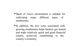 Much of Asia’s environment is suitable for
cultivating many different types of
mushrooms.
In addition, the low costs associated with
growing mushrooms helps farmers get started
and make relatively quick and good financial
returns, positively contributing to the
country’s economy.
 