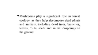 Mushrooms play a significant role in forest
ecology, as they help decompose dead plants
and animals, including dead trees, branches,
leaves, fruits, seeds and animal droppings on
the ground.
 