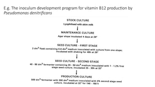 E.g. The inoculum development program for vitamin B12 production by
Pseudomonas denitrificans
 