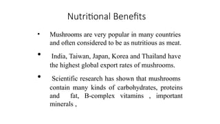 Nutritional Benefits
• Mushrooms are very popular in many countries
and often considered to be as nutritious as meat.
• India, Taiwan, Japan, Korea and Thailand have
the highest global export rates of mushrooms.
• Scientific research has shown that mushrooms
contain many kinds of carbohydrates, proteins
and fat, B-complex vitamins , important
minerals ,
 