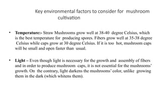 Key environmental factors to consider for mushroom
cultivation
• Temperature:- Straw Mushrooms grow well at 38-40 degree Celsius, which
is the best temperature for producing spores. Fibers grow well at 35-38 degree
Celsius while caps grow at 30 degree Celsius. If it is too hot, mushroom caps
will be small and open faster than usual.
• Light – Even though light is necessary for the growth and assembly of fibers
and in order to produce mushroom caps, it is not essential for the mushrooms’
growth. On the contrary, light darkens the mushrooms’ color, unlike growing
them in the dark (which whitens them).
 