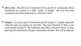  pH Levels – The pH level is important for the growth of mushrooms. Straw
mushrooms are neutral or a little acidic. A suitable pH level for straw
mushrooms and other mushrooms is between 5 and 8.
 Oxygen – In every stage of mushroom growth oxygen is needed, especially
when the caps are coming out and after they have bloomed. If there is too
much carbon dioxide in the mushroom bed, fibers will grow slower or stop
growing, the mushrooms will grow abnormally and their skin will be affected.
 