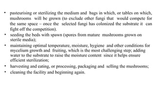 • pasteurising or sterilizing the medium and bags in which, or tables on which,
mushrooms will be grown (to exclude other fungi that would compete for
the same space – once the selected fungi has colonized the substrate it can
fight off the competition).
• seeding the beds with spawn (spores from mature mushrooms grown on
sterile media);
• maintaining optimal temperature, moisture, hygiene and other conditions for
mycelium growth and fruiting, which is the most challenging step; adding
water to the substrate to raise the moisture content since it helps ensure
efficient sterilization;
• harvesting and eating, or processing, packaging and selling the mushrooms;
• cleaning the facility and beginning again.
 