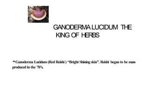 GANODERMALUCIDUM THE
KING OF HERBS
Ganoderma Lucidum (Red Reishi ) “Bright Shining skin”. Reishi began to be mass
produced in the 70’s.
 