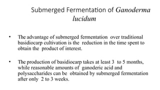 Submerged Fermentation of Ganoderma
lucidum
• The advantage of submerged fermentation over traditional
basidiocarp cultivation is the reduction in the time spent to
obtain the product of interest.
• The production of basidiocarp takes at least 3 to 5 months,
while reasonable amounts of ganoderic acid and
polysaccharides can be obtained by submerged fermentation
after only 2 to 3 weeks.
 