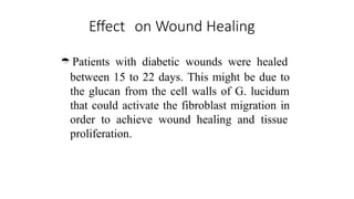 Effect on Wound Healing
 Patients with diabetic wounds were healed
between 15 to 22 days. This might be due to
the glucan from the cell walls of G. lucidum
that could activate the fibroblast migration in
order to achieve wound healing and tissue
proliferation.
 