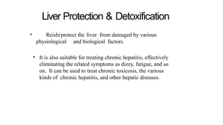 Liver Protection & Detoxification
• Reishiprotect the liver from damaged by various
physiological and biological factors.
• It is also suitable for treating chronic hepatitis, effectively
eliminating the related symptoms as dizzy, fatigue, and so
on. It can be used to treat chronic toxicosis, the various
kinds of chronic hepatitis, and other hepatic diseases.
 