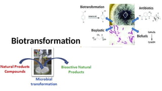 Biotransformation
 