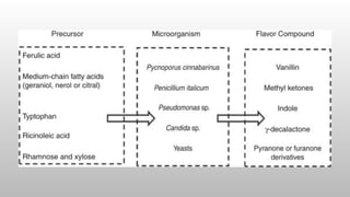 fermentation process techniques modes and types