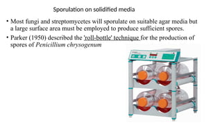Sporulation on solidified media
• Most fungi and streptomycetes will sporulate on suitable agar media but
a large surface area must be employed to produce sufficient spores.
• Parker (1950) described the 'roll-bottle' technique for the production of
spores of Penicillium chrysogenum
 
