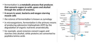 • fermentation is a metabolic process that produces
that converts sugars to acids, gases and alcohol
through the action of enzymes.
• it occurs in yeast, bacteria and oxygen starving
muscle cells
• the science of fermentation is known as zymology
• in microorganisms, fermentation is the primary means
of producing adenosine triphosphate (ATP) by the
degradation of organic nutrients anaerobically.
• for example, yeast enzymes convert sugars and
starches into alcohol, while proteins are converted to
peptides/amino acids
 