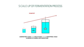 SCALEUPOFFERMENTATIONPROCESS
 