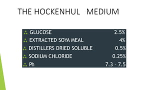 THE HOCKENHUL MEDIUM
 GLUCOSE 2.5%
 EXTRACTED SOYA MEAL 4%
 DISTILLERS DRIED SOLUBLE 0.5%
 SODIUM CHLORIDE 0.25%
 Ph 7.3 – 7.5
 