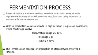 FERMENTATION PROCESS
 Spores of S.griseus are inoculated into a medium to establish a culture with
high mycelial biomass for introduction into inoculum tank, using inoculum to
initiate the fermentation process.
 Yield in production vessel responds to high aeration & agitation conditions.
Other conditions involve-
Temperature range 25-30°C
pH range 7-8
Time 5-7 days
 The fermentation process for production of Streptomycin involves 3
phases.
 