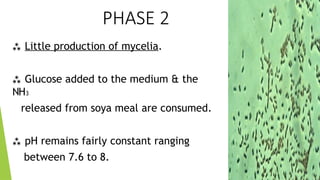 PHASE 2
 Little production of mycelia.
 Glucose added to the medium & the
NH3
released from soya meal are consumed.
 pH remains fairly constant ranging
between 7.6 to 8.
 