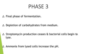 PHASE 3
 Final phase of fermentation.
 Depletion of carbohydrates from medium.
 Streptomycin production ceases & bacterial cells begin to
lyse.
 Ammonia from lysed cells increase the pH.
 