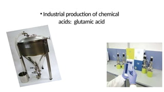 •Industrial production of chemical
acids: glutamic acid
 
