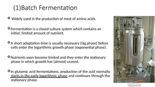 (1)Batch Fermentation
 Widely used in the production of most of amino acids.
Fermentation is a closed culture system which contains an
initial, limited amount of nutrient.
A short adaptation time is usually necessary (lag phase) before
cells enter the logarithmic growth phase (exponential phase).
Nutrients soon become limited and they enter the stationary
phase in which growth has (almost) ceased.
In glutamic acid fermentations, production of the acid normally
starts in the early logarithmic phase and continues through the
stationary phase.
 