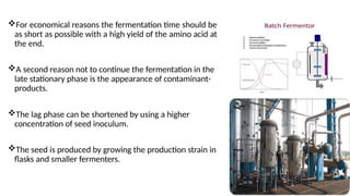 For economical reasons the fermentation time should be
as short as possible with a high yield of the amino acid at
the end.
A second reason not to continue the fermentation in the
late stationary phase is the appearance of contaminant-
products.
The lag phase can be shortened by using a higher
concentration of seed inoculum.
The seed is produced by growing the production strain in
flasks and smaller fermenters.
 