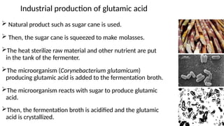  Natural product such as sugar cane is used.
 Then, the sugar cane is squeezed to make molasses.
The heat sterilize raw material and other nutrient are put
in the tank of the fermenter.
The microorganism (Corynebacterium glutamicum)
producing glutamic acid is added to the fermentation broth.
The microorganism reacts with sugar to produce glutamic
acid.
Then, the fermentation broth is acidified and the glutamic
acid is crystallized.
Industrial production of glutamic acid
 
