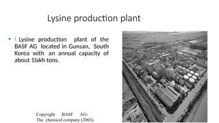Lysine production plant
•  Lysine production plant of the
BASF AG located in Gunsan, South
Korea with an annual capacity of
about 1lakh tons.
Copyright BASF AG-
The chemical company (2003).
 