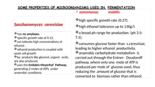 Saccharomyces cerevisiae
• zymomonas mobilis
high specific growth rate (0.27).
high ethanol tolerance up to 130g/l.
a broad ph range for production (ph 3.5-
7.5).
consumes glucose faster than s.cerevisiae,
leading to higher ethanol productivity.
anaerobic carbohydrate metabolism is
carried out through the Entner- Doudoroff
pathway, where only one mole of ATP is
produced per mole of glucose used, thus
reducing the amount of glucose that is
converted to biomass rather than ethanol.
has no amylases.
specific growth rate of 0.13.
can tolerate high concentrations of
ethanol .
ethanol production is coupled with
yeast cell growth
by- products like glycerol, organic acids,
are also produced.
uses the Embden-Meyerhof Pathway,
generating 2 moles of ATPs under
anaerobic conditions.
SOME PROPERTIES OF MICROORGANISMS USED IN FERMENTATION
 